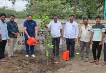 सांगोला नगरपरिषद व नगराध्यक्ष आनंदा भाऊ माने यांच्या आव्हानाला उद्योगपती प्रमोददादा साळुंखे पाटील यांचा प्रतिसाद