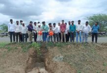 माझी वसुंधरा अभियान 7.0’ अंतर्गत सांगोला नगरपरिषदेचा पर्यावरण संवर्धनाचा उपक्रम